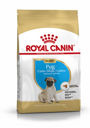 Royal Canin Pug-Mops Junior